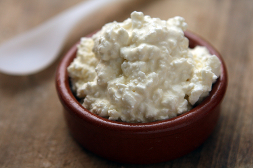 homemade-cottage-cheese