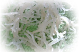 Sea moss Seaweed health benefits
