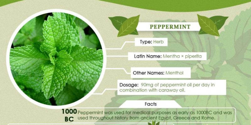 traditional-herbal-medicine